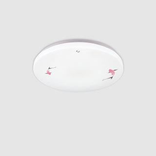 小鱼-1