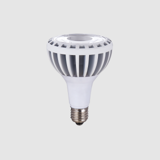 Y系列-LED PAR灯