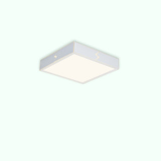 惊鸿-小方
